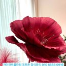 대구현풍초등학교 이미지
