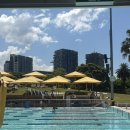그늘막105 | 시드니 야외 수영장 프린스 알프레드 파크 퍼블릭풀 Prince Alfred Park Public Pool