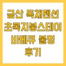 별천지스테이&바베큐 | 금산 독채펜션 초록지붕스테이 바베큐 불멍 후기