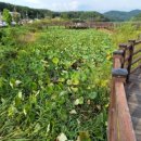 고복자연공원 갈대습지원 이미지