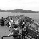 바람의 언덕 이미지