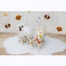 명문애견 이미지