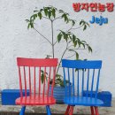 방자스테이