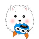 애견멀티샵 이미지