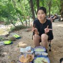 도마치자연그대로캠핑장 - 1196 | 도마치자연그대로캠핑장