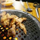 나노갈매기 이미지