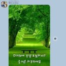 면목본동-010 이미지