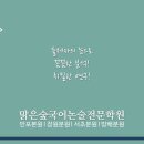방배맑은숲국어논술전문학원 이미지