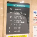 제니스스포츠마사지 네이버블로그