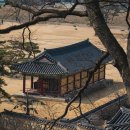 원근목장 | A7C2 + 70200gm2 + 20tc 장망원 하나 들고 여행을 갑시다