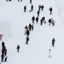 강인목장 이미지