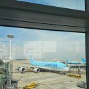 떡볶이프린스 | [5박6일 도쿄여행] 1일차ㅣ대한항공KE703ㅣ출국 전 준비사항ㅣ도쿄프린스호텔ㅣ도쿄타워