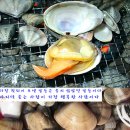 귀농사모-동해안에서 회원 가족에게 크리스마스 선물이요 이미지