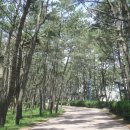 세이브존앞 이미지