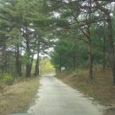 노동하리 이미지