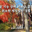 상지 행정사 사무소 이미지