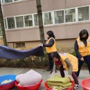 미소세탁 이미지