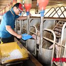 재남농장 이미지