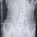 베르데미 이미지