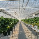 유봉농장 이미지