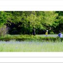 국화공원 이미지