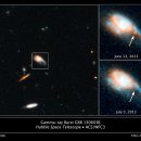 대신싸이언스