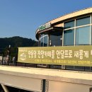 안달프 이미지