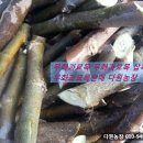 승의농장 이미지