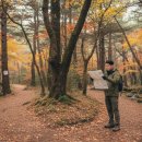 제주산림항공관리소 | 붉은오름 자연휴양림, 진짜 제주를 만난 숲길 후기