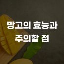황금과일 이미지