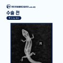 동두천 메디컬 센터 이미지