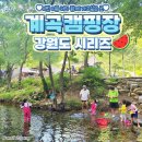 샬롬빌리지 펜션 야영장 | 여름에 인기만점! 시원한 계곡에서 물놀이까지 할수 있는 강원도의 유명한 계곡 캠핑장들을 추천해요!