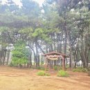 가은빌 | 충남 서천 풀빌라 그곳에 반하다 두번째이야기 나은빌 솔직후기