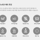 델릭 이미지