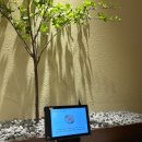 여의도장어 | 여의도 장어덮밥 맛집 양산도 서여의도점 재방문후기