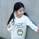 블레슈