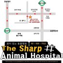 더샵동물메디컬센터 네이버블로그