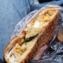 데일리팡 이미지