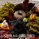 자연을 닮은 집 | 망원동데이트 찾는다면? 자연을 닮은 나만의 오브제, 오브제시수이끼집 만들기 원데이클래스 후기
