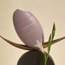 하루하루하루 이미지