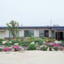 자연꽃조경