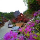 숲속의요정 이미지