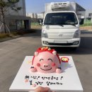 고사머리 | 파주 문산 고사케이크 썬앤문에서 새차선물 돼지머리 한입케이크 주문한 후기