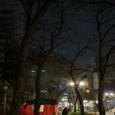 도화공원화장실 | 공덕 포장마차거리 위치 가는법 화장실 벚꽃