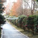 애기등 공원 이미지