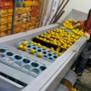 선돌농장 이미지