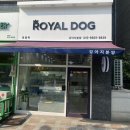 로얄독 강아지분양 화성동탄점 이미지