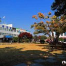 곡성군청 민원실 이미지