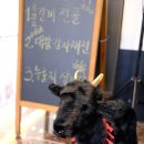 흑궁흑염소
