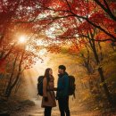 계곡수채화 | 무주 덕유산 구천동계곡 단풍, 11월 절정기 여행 후기